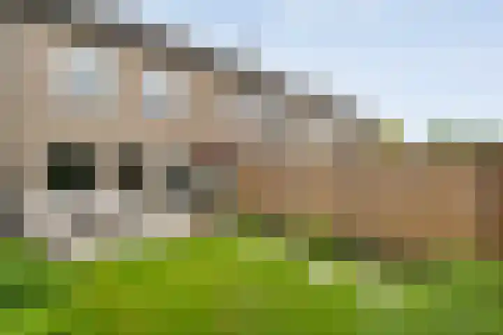 Koenermaat 61 Meppel thumbnail 34