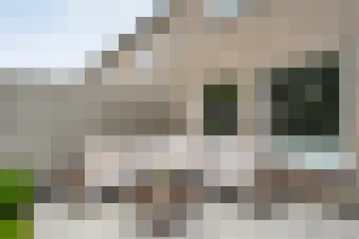 Koenermaat 61 Meppel thumbnail 35