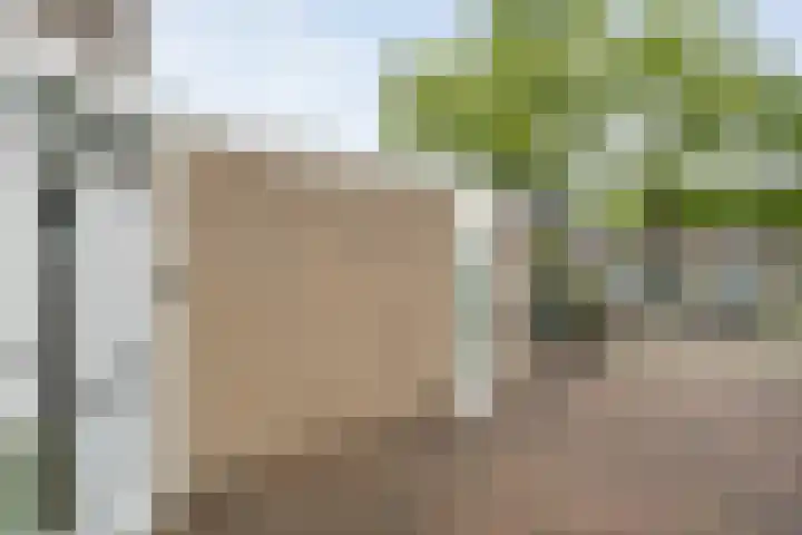 Koenermaat 61 Meppel thumbnail 4