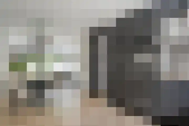 Koenermaat 61 Meppel thumbnail 6