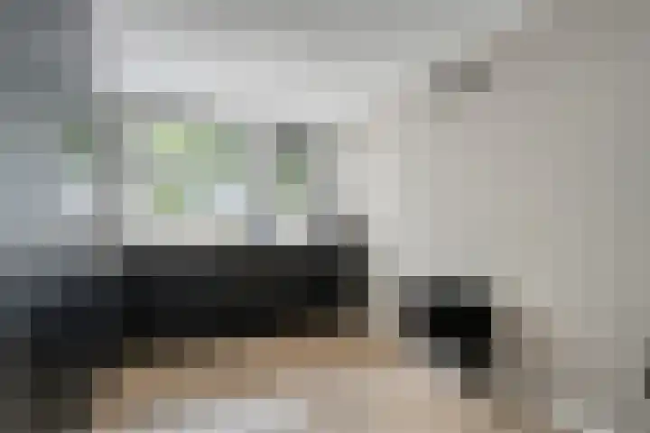 Koenermaat 61 Meppel thumbnail 7