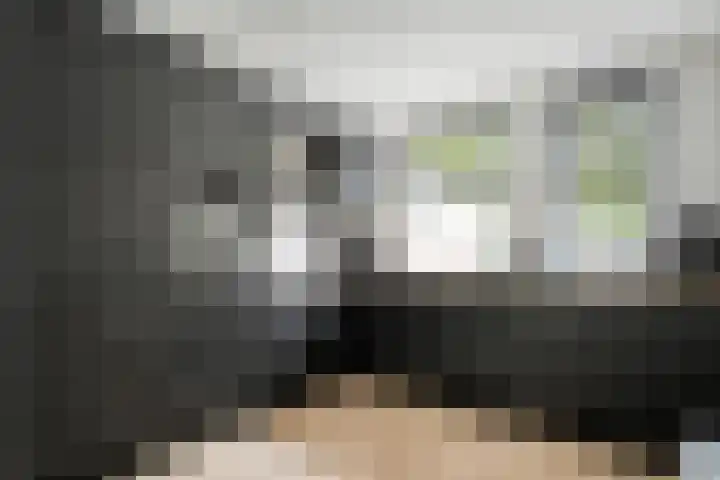 Koenermaat 61 Meppel thumbnail 8