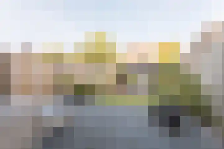 Koenermaat 67 Meppel thumbnail 29