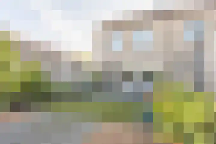 Koenermaat 67 Meppel thumbnail 30