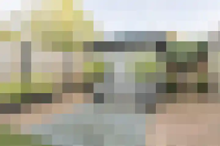 Koenermaat 67 Meppel thumbnail 31