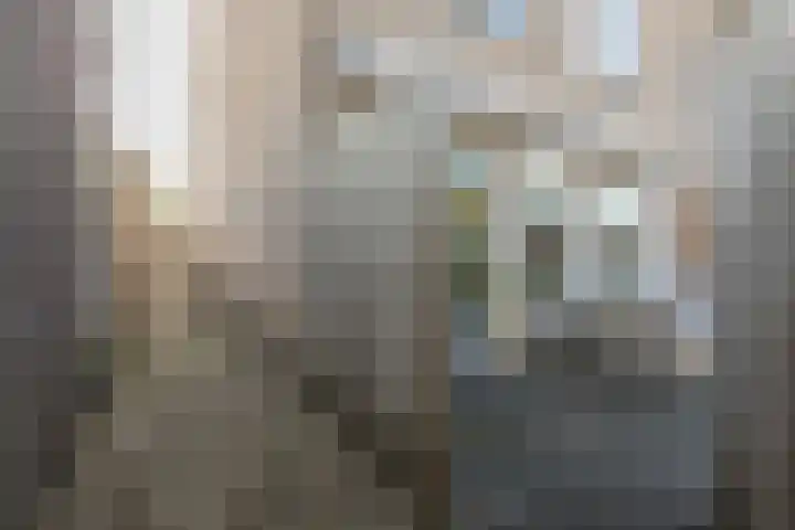 Koenermaat 67 Meppel thumbnail 34