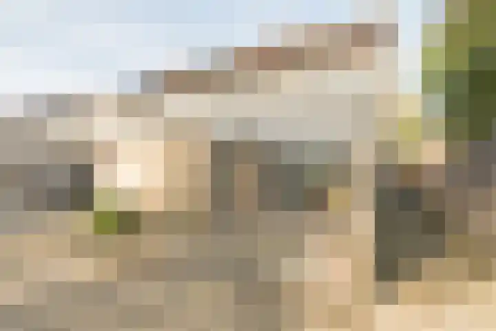 Koenermaat 67 Meppel thumbnail 35