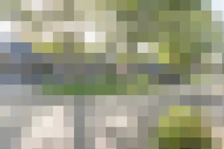 Koenermaat 67 Meppel thumbnail 39