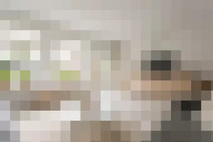 Koenermaat 67 Meppel thumbnail 4