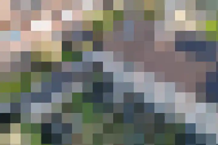 Koenermaat 67 Meppel thumbnail 41
