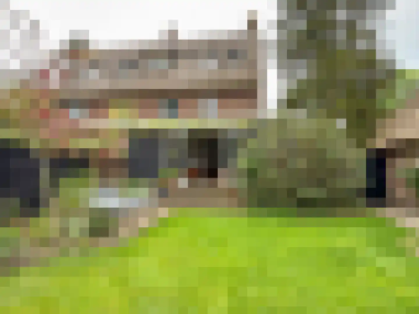 Koenestraat 110 Amerongen thumbnail 12