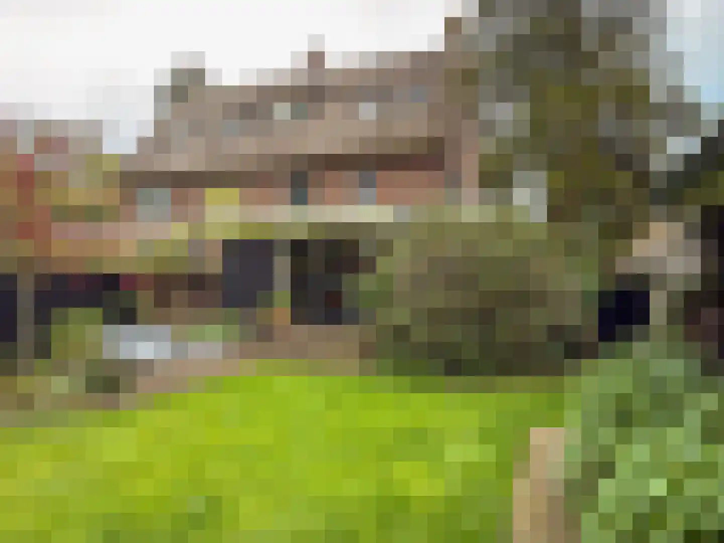 Koenestraat 110 Amerongen thumbnail 25