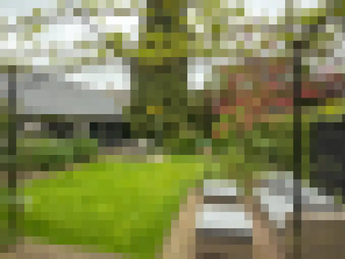 Koenestraat 110 Amerongen thumbnail 26