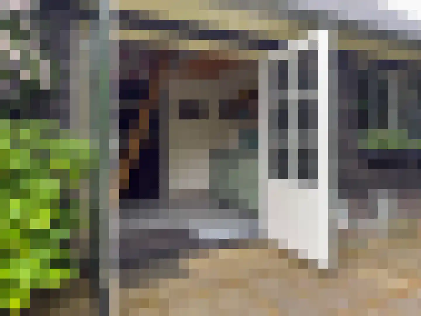 Koenestraat 110 Amerongen thumbnail 30