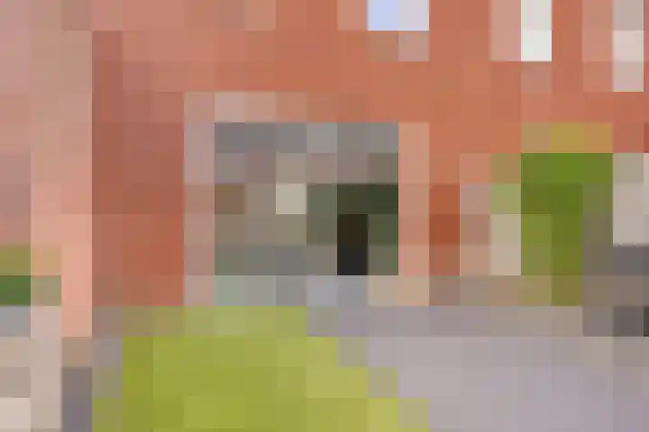 Koenestraat 13 Veenendaal thumbnail 17