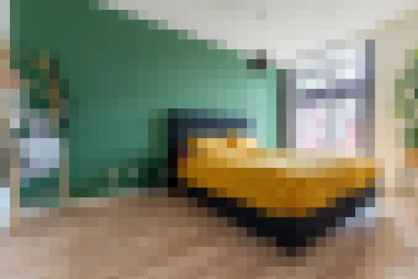 Koenestraat 3 Veenendaal thumbnail 17