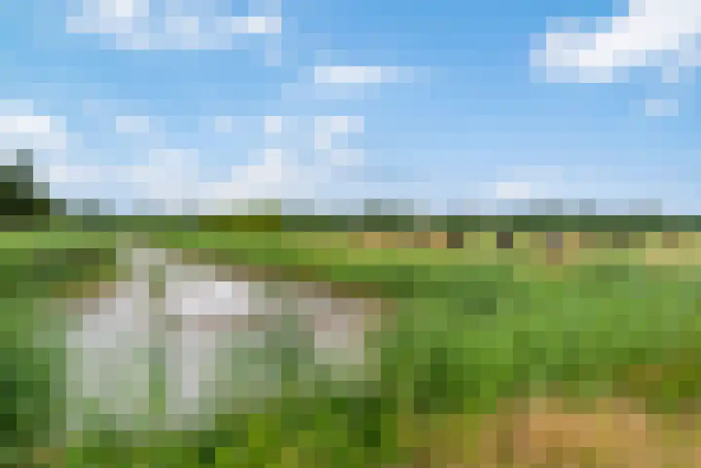 Koenestraat 3 Veenendaal thumbnail 33
