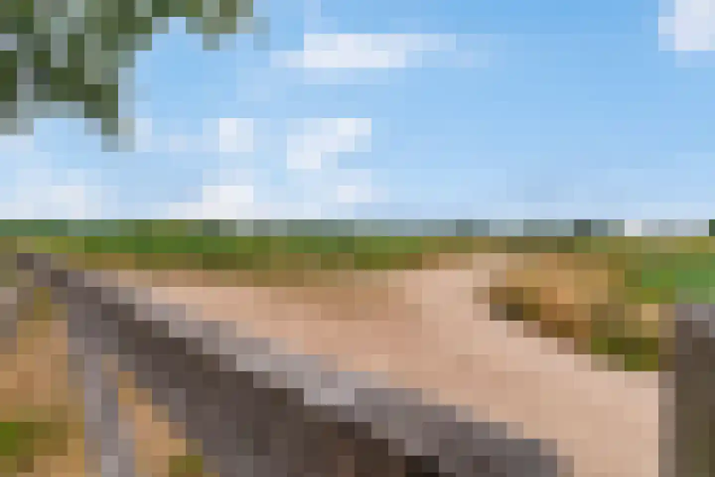 Koenestraat 3 Veenendaal thumbnail 34