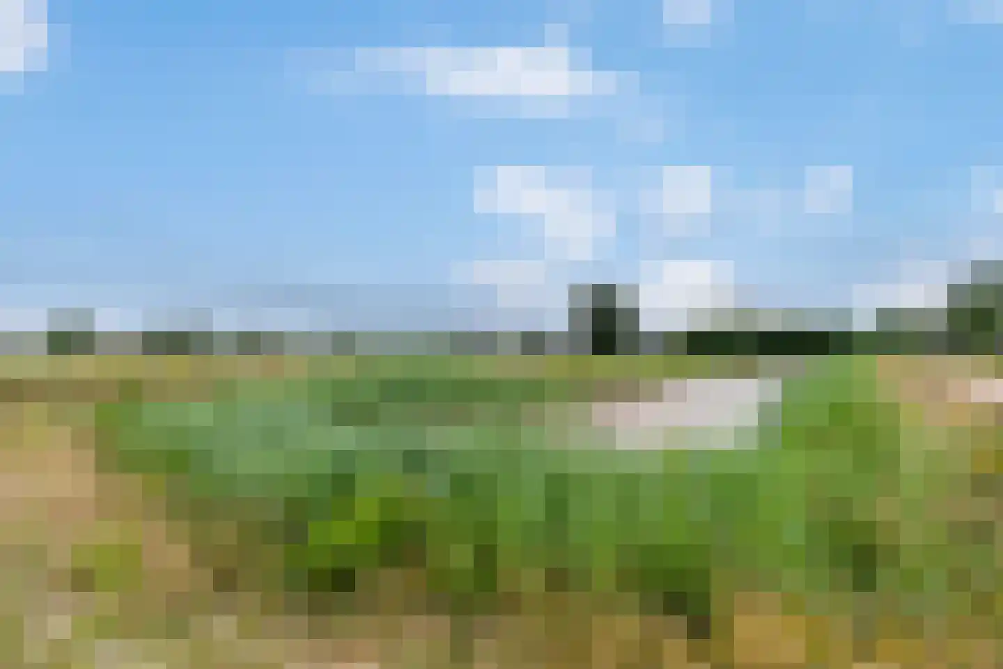 Koenestraat 3 Veenendaal thumbnail 36