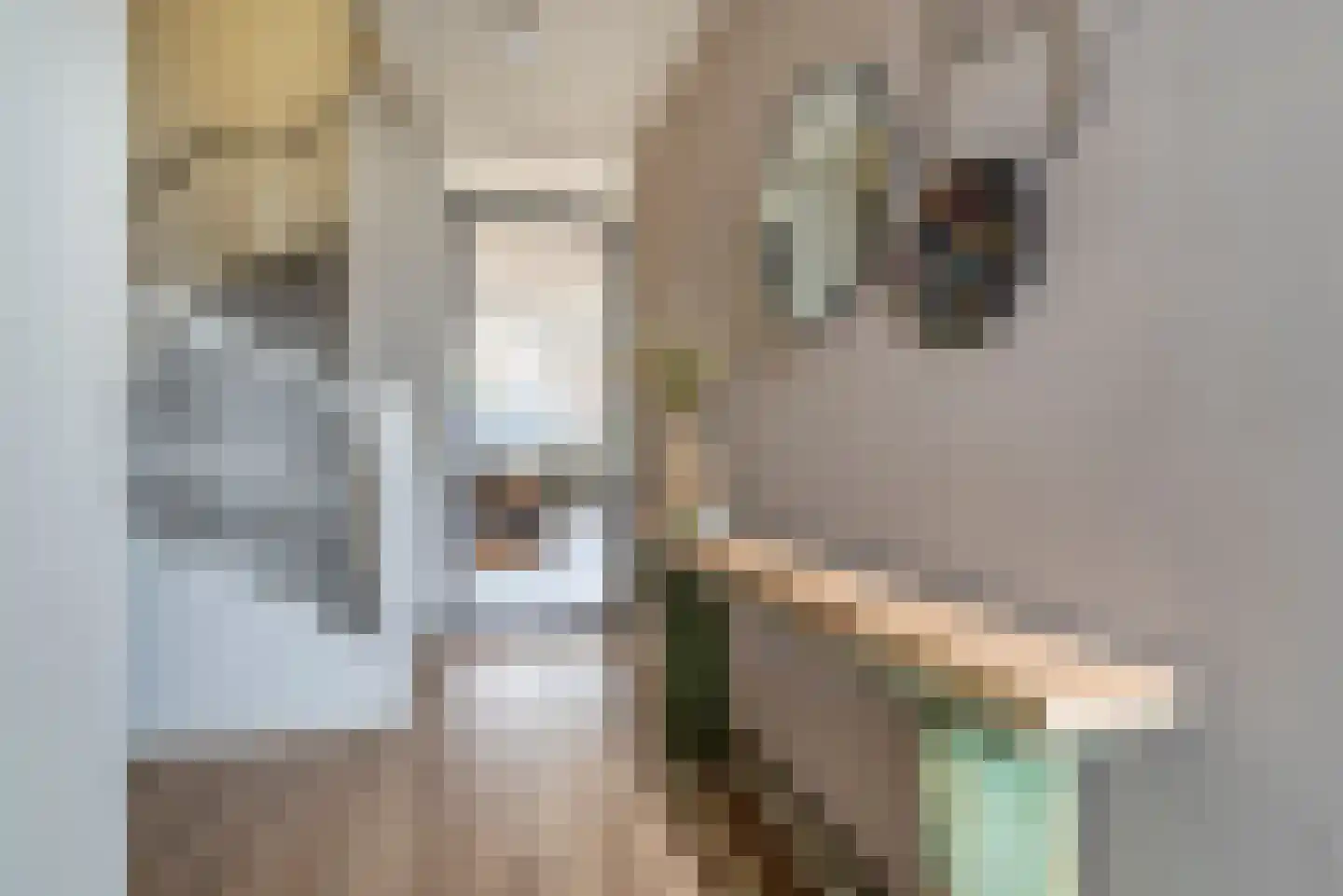 Koenestraat 3 Veenendaal thumbnail 5
