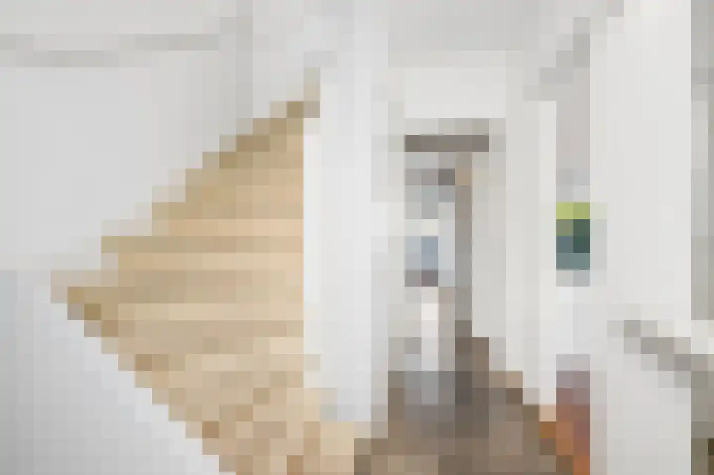 Koenestraat 30 Amerongen thumbnail 9