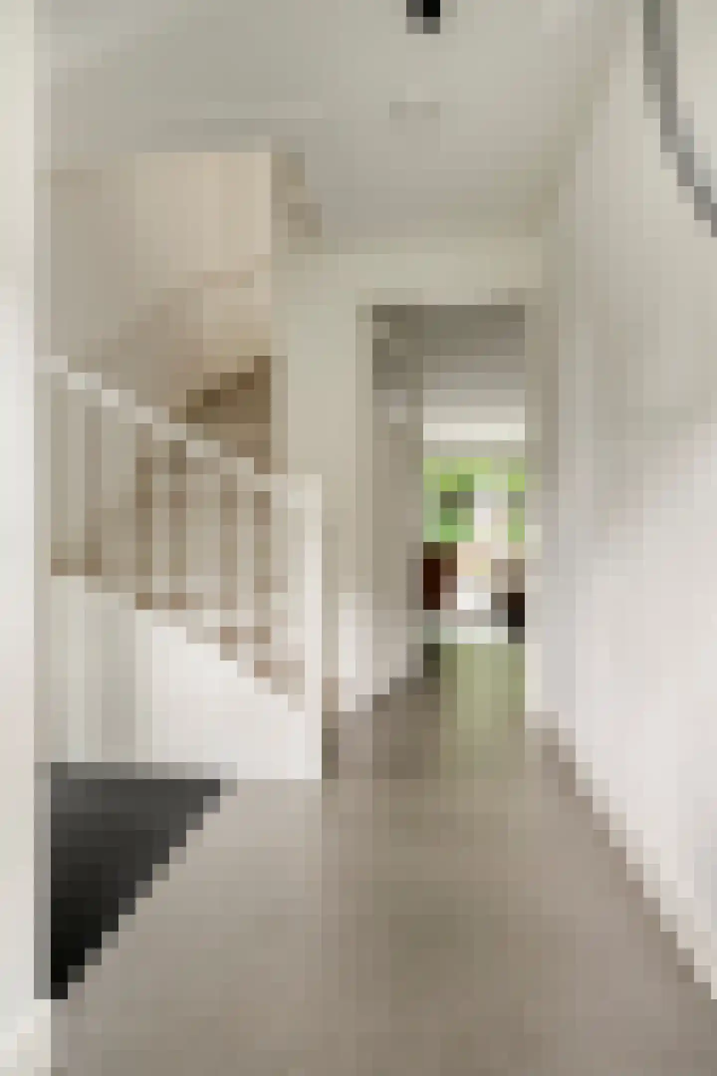 Koenestraat 38 Veenendaal thumbnail 8