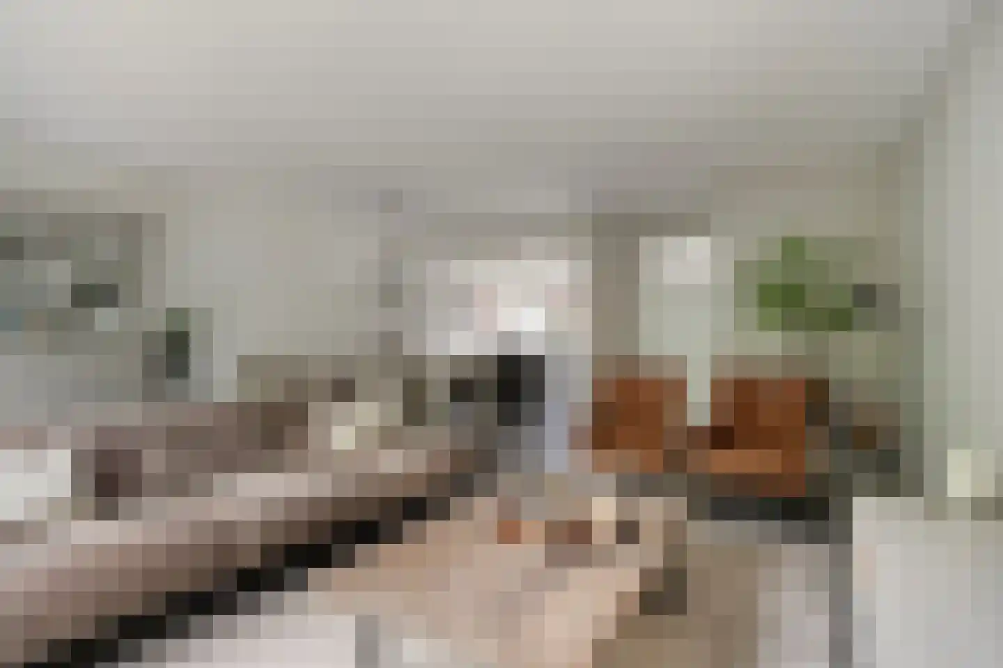 Koenestraat 38 Veenendaal thumbnail 9