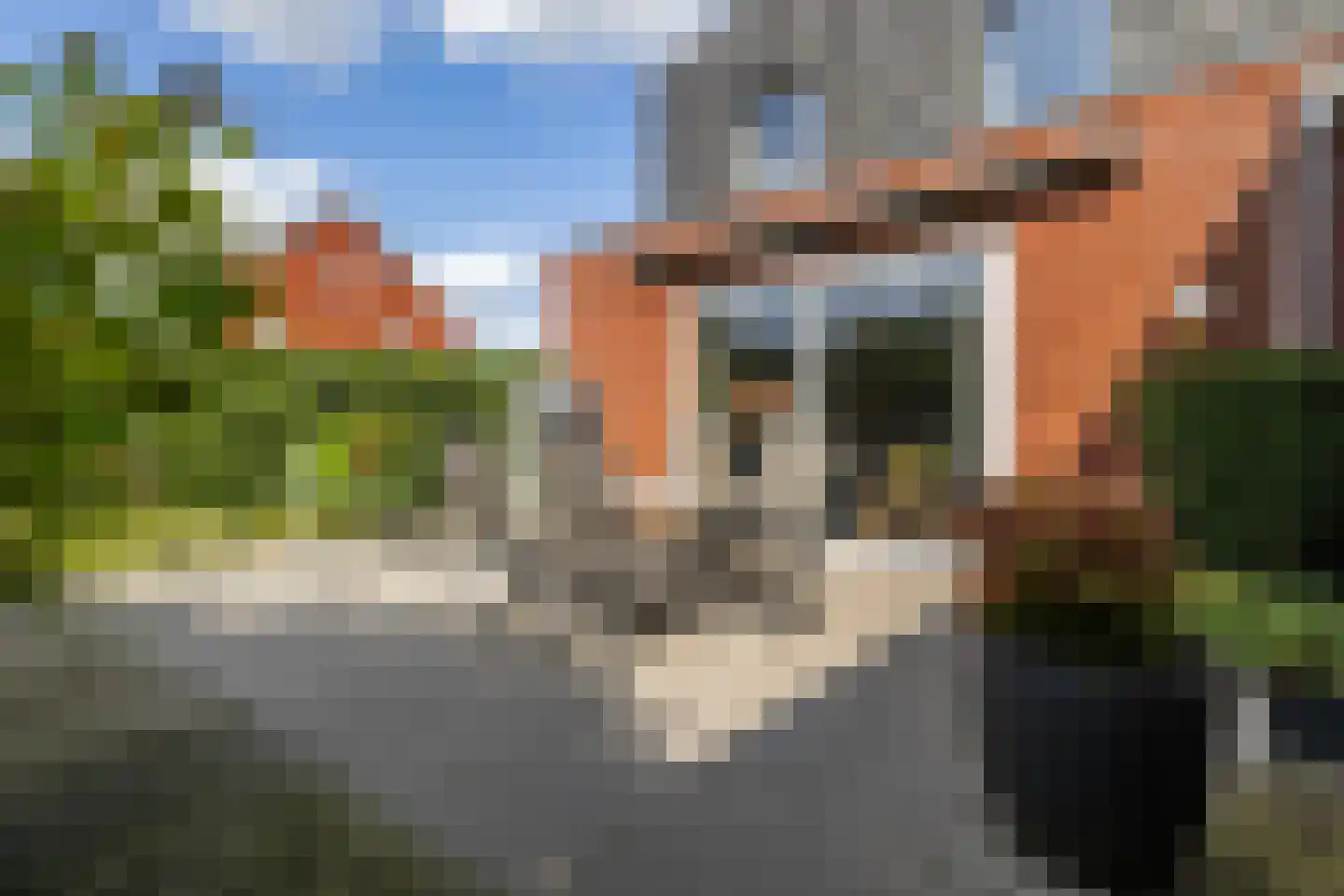 Koenestraat 40 Veenendaal thumbnail 52