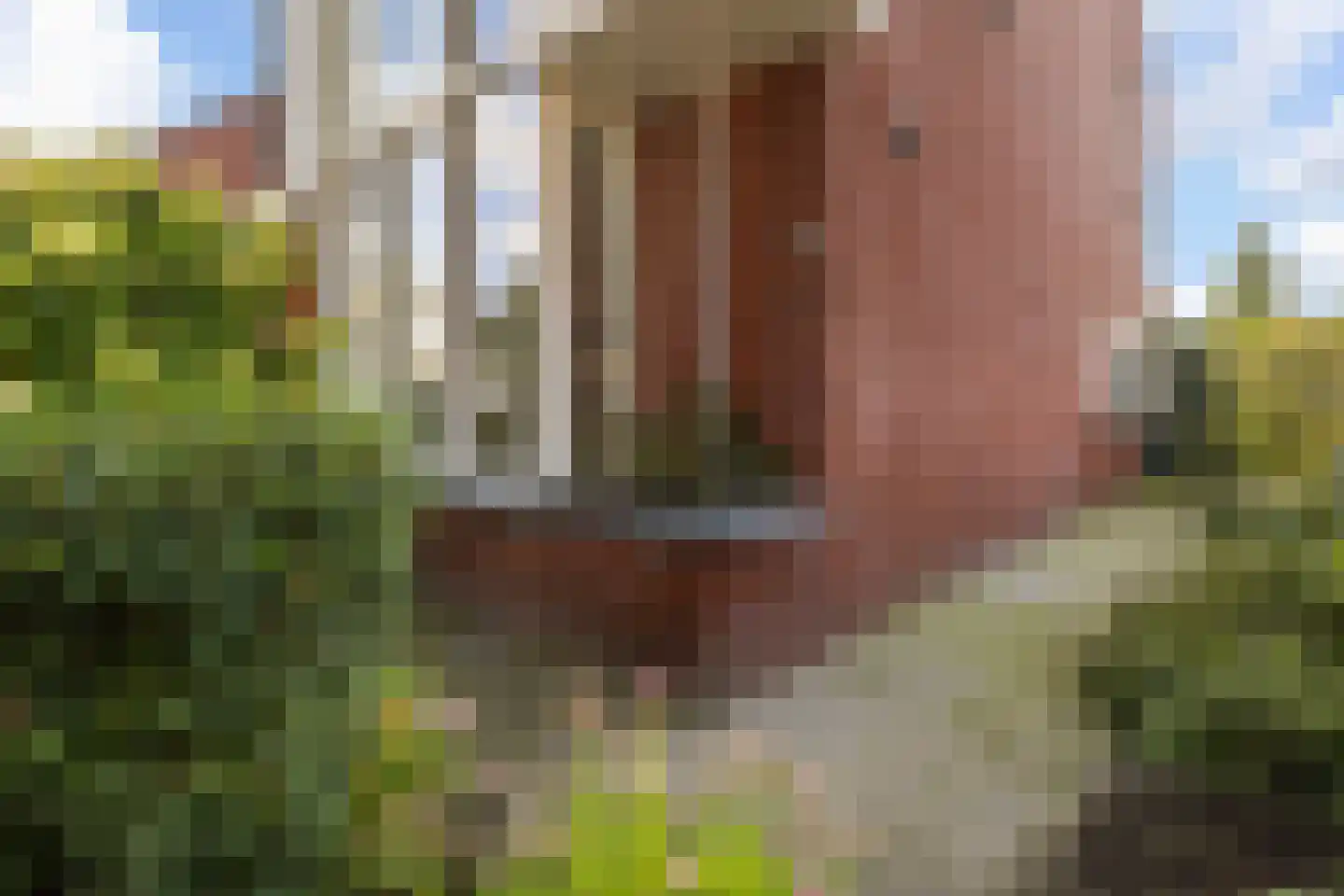Koenestraat 40 Veenendaal thumbnail 54