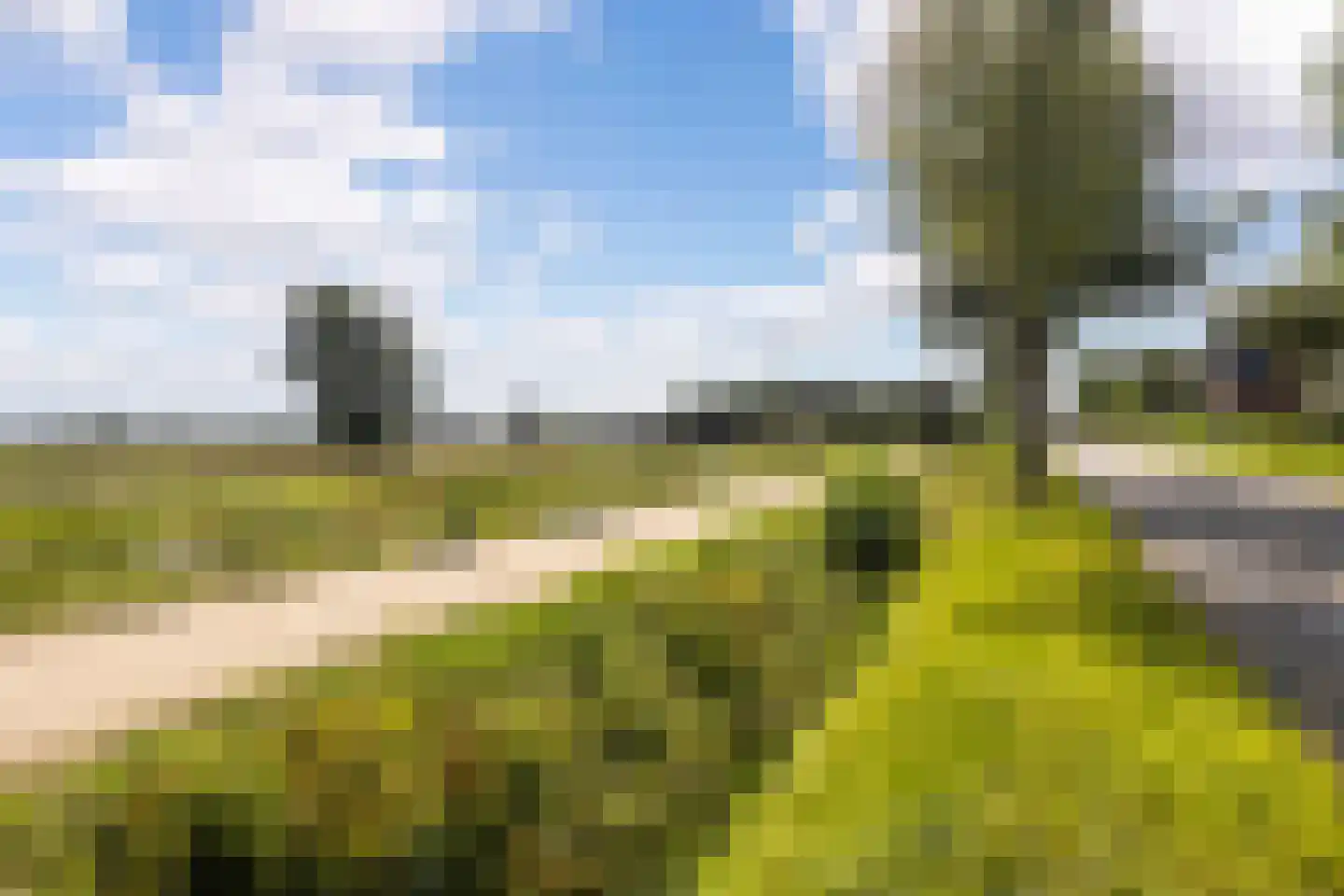 Koenestraat 40 Veenendaal thumbnail 61