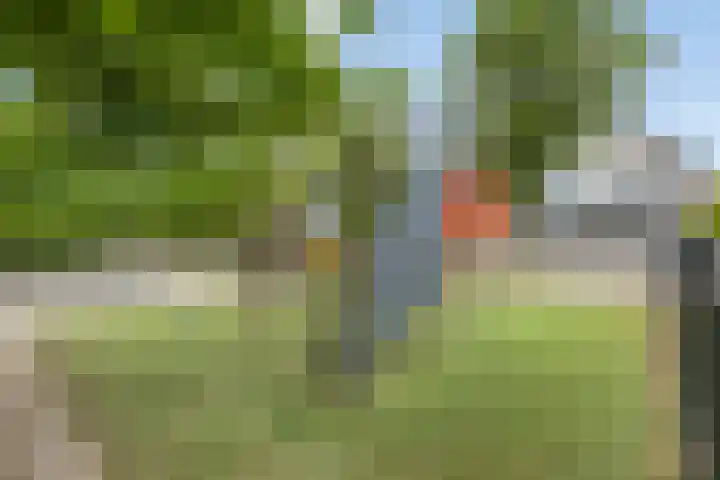 Koenestraat 51 Amerongen thumbnail 34