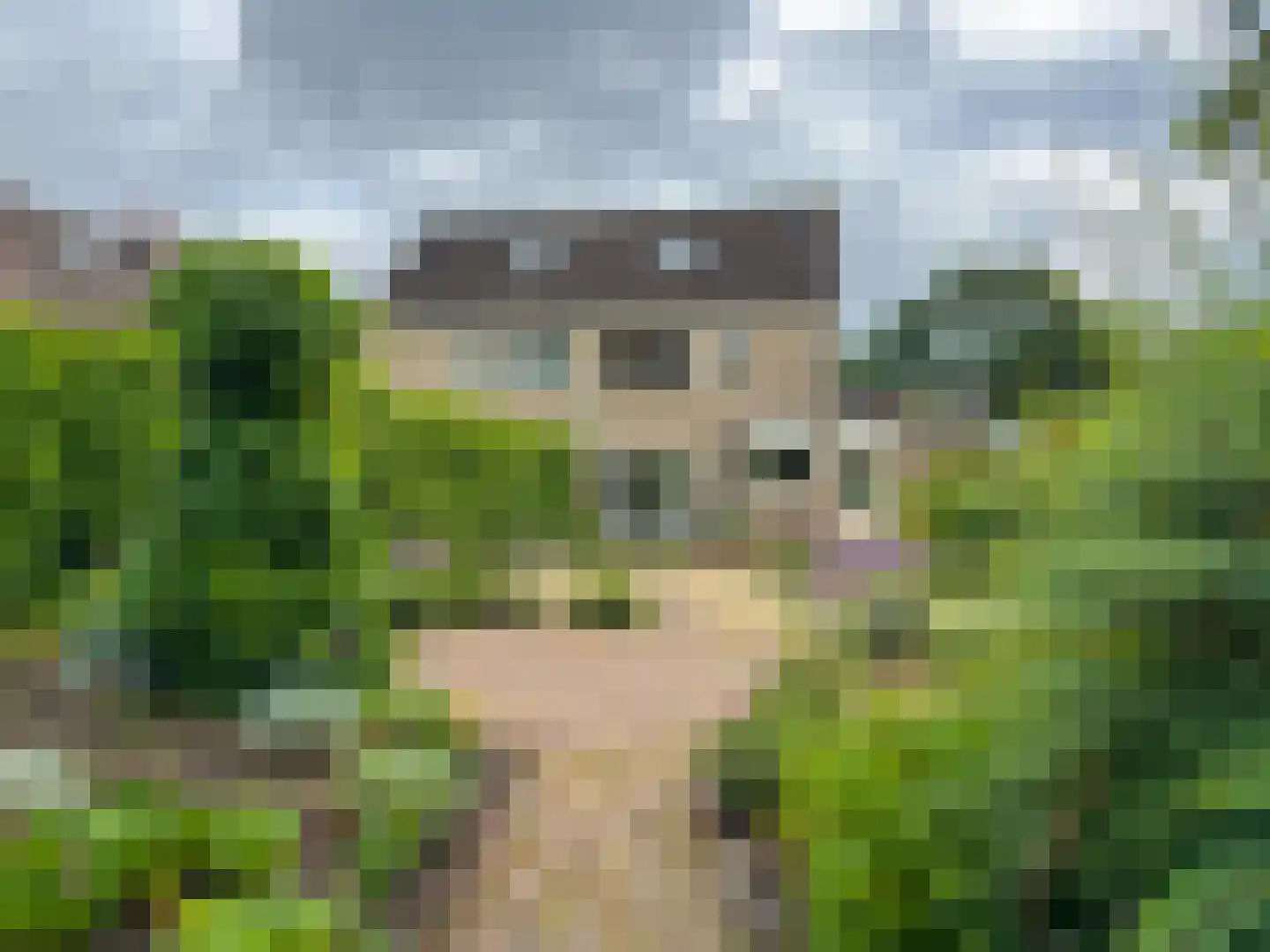 Koenestraat 86 Amerongen thumbnail 20