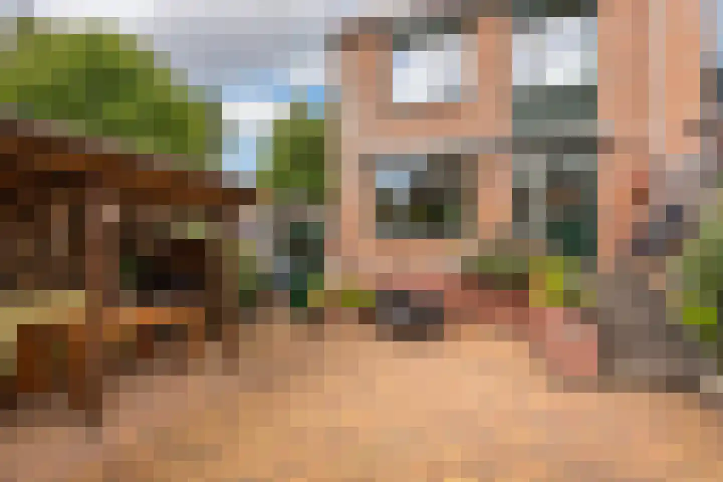 Koenestraat 89 Amerongen thumbnail 23