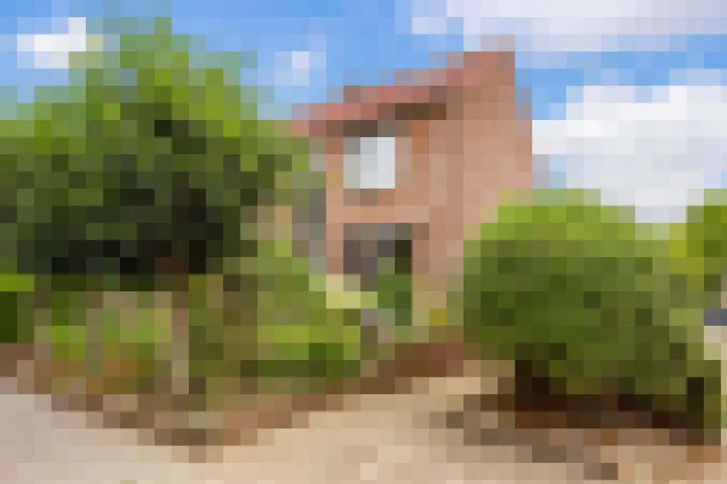 Koenestraat 89 Amerongen thumbnail 47