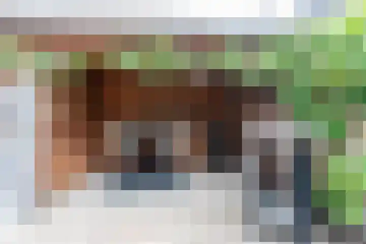 Koenestraat 9 Amerongen thumbnail 32