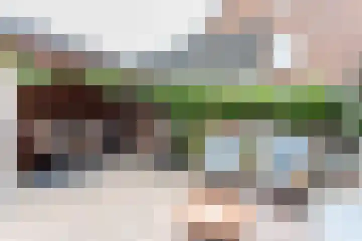 Koenestraat 9 Amerongen thumbnail 33