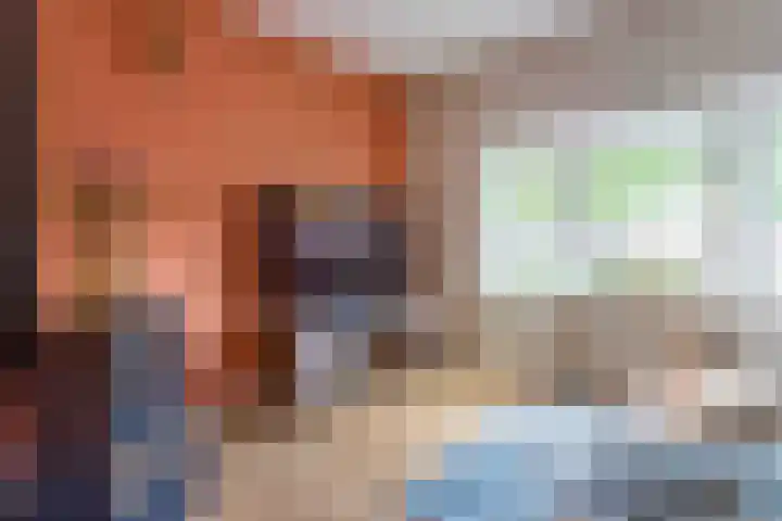 Koenestraat 9 Amerongen thumbnail 6