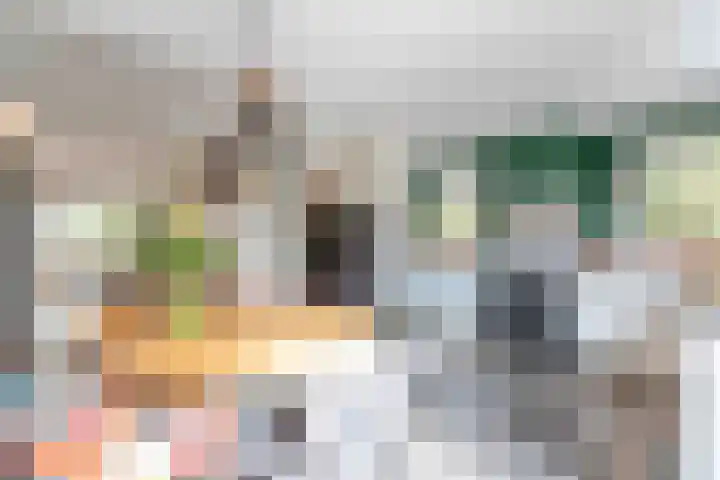Koenestraat 9 Amerongen thumbnail 9