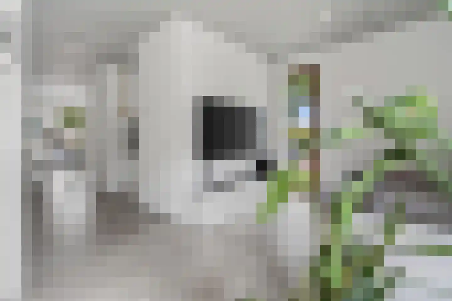 Koenraadlaan 2 L Eindhoven thumbnail 16