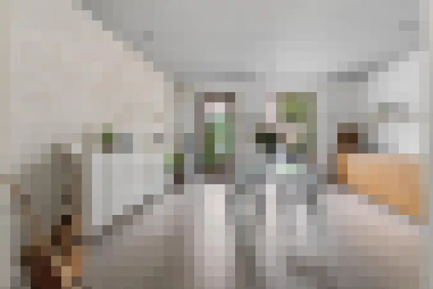 Koenraadlaan 2 L Eindhoven thumbnail 20