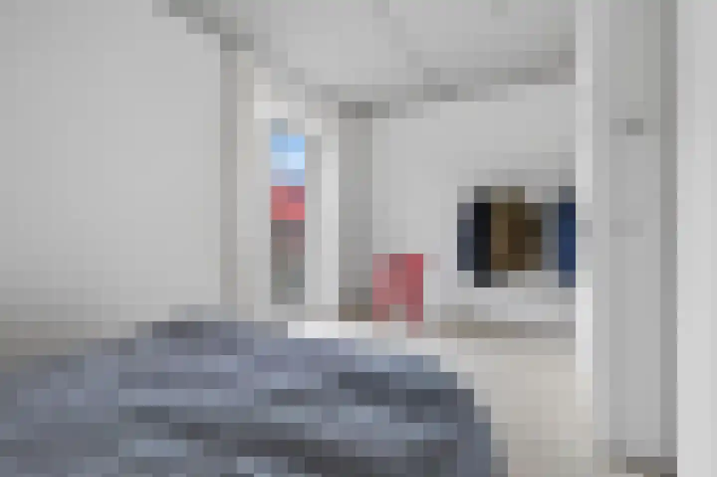 Koenraadlaan 2 L Eindhoven thumbnail 34