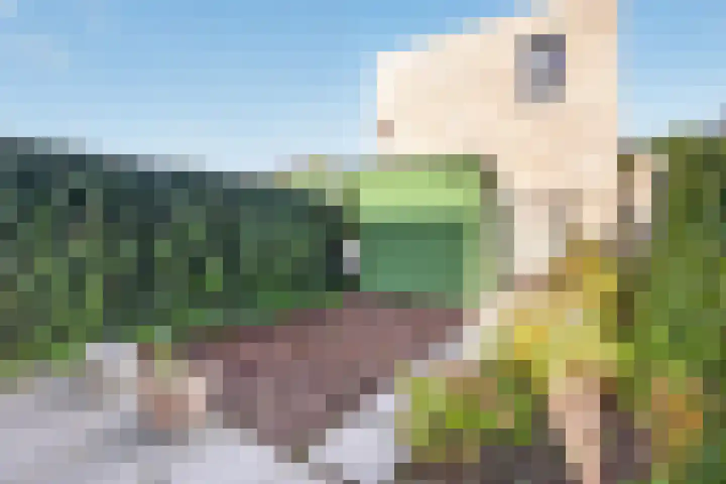 Koenraadlaan 2 L Eindhoven thumbnail 57
