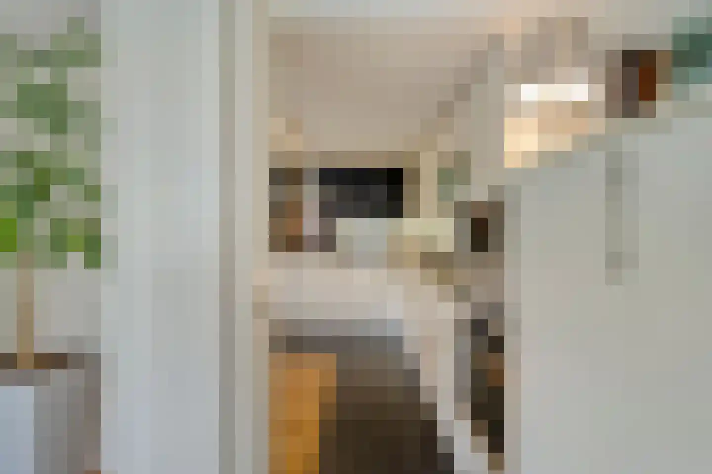 Koenraadtweg 14 Maarheeze thumbnail 22