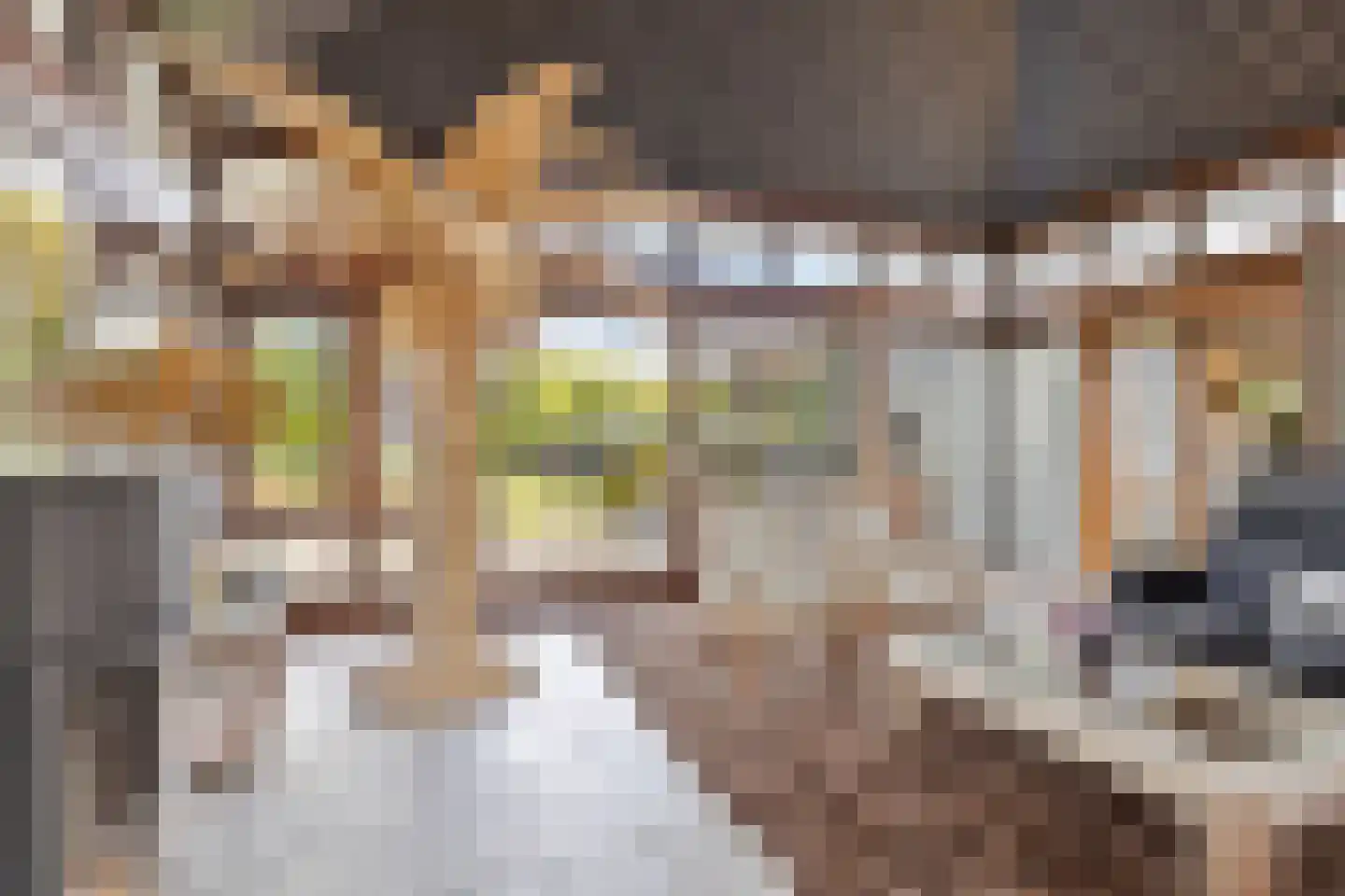 Koenraadtweg 14 Maarheeze thumbnail 28