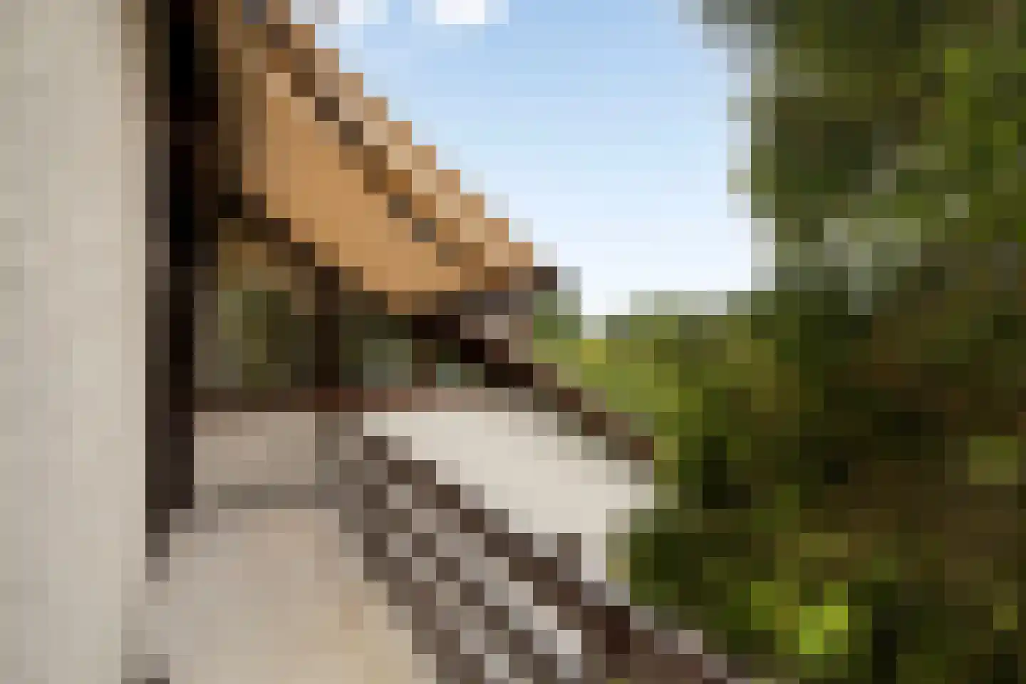 Koenraadtweg 14 Maarheeze thumbnail 35
