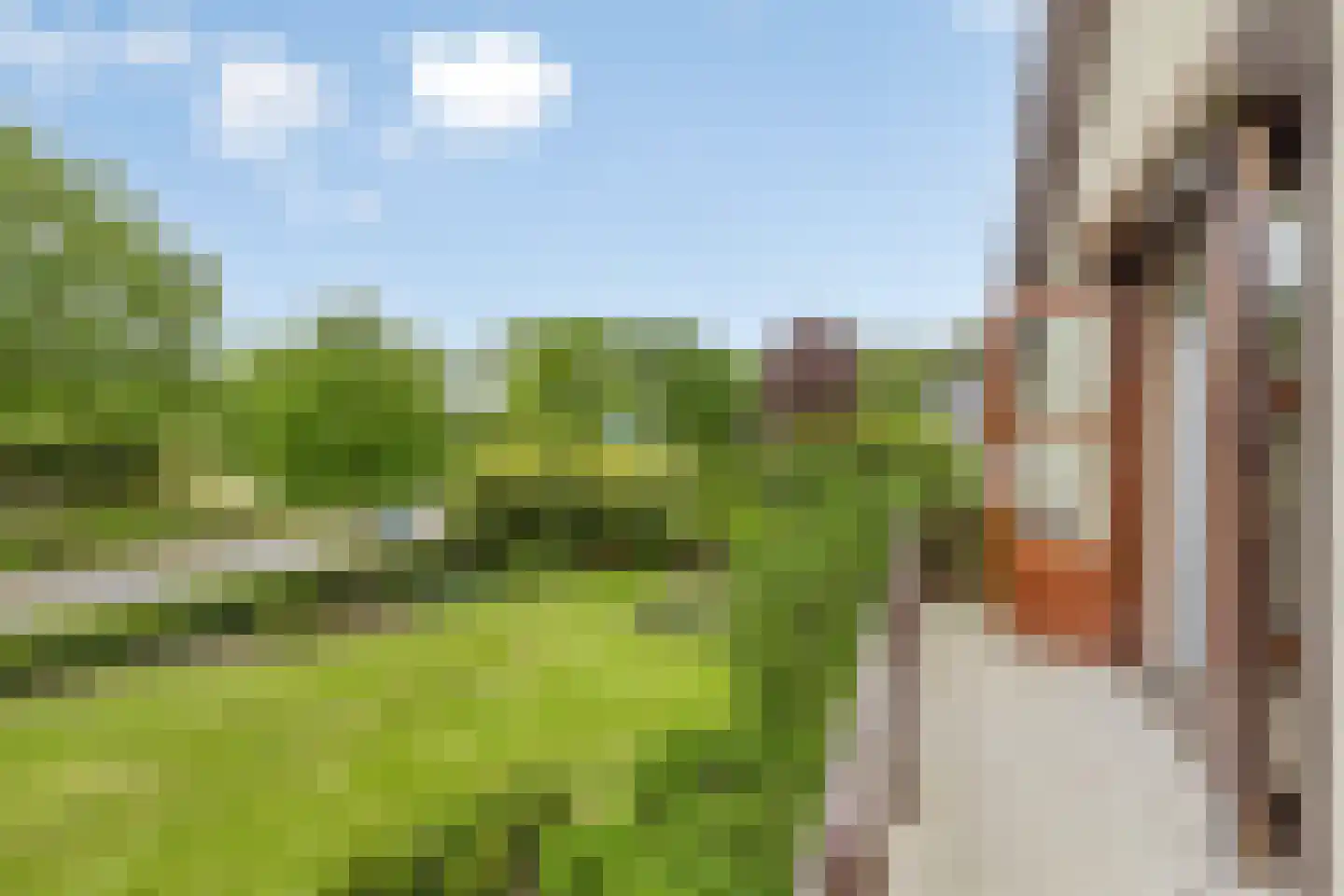 Koenraadtweg 14 Maarheeze thumbnail 36