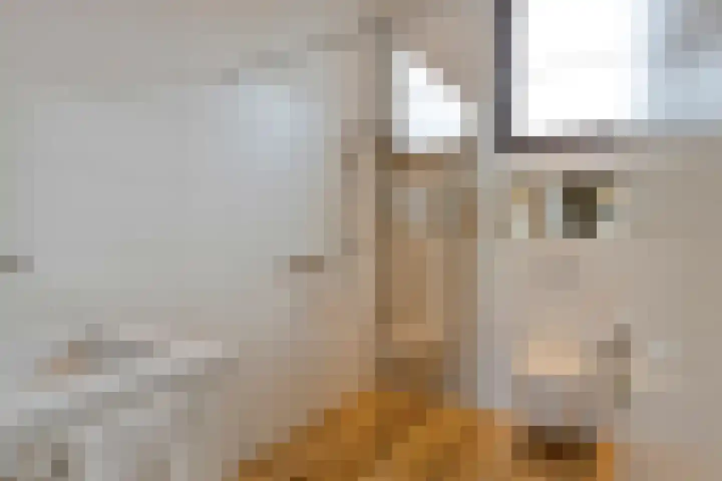 Koenraadtweg 14 Maarheeze thumbnail 46