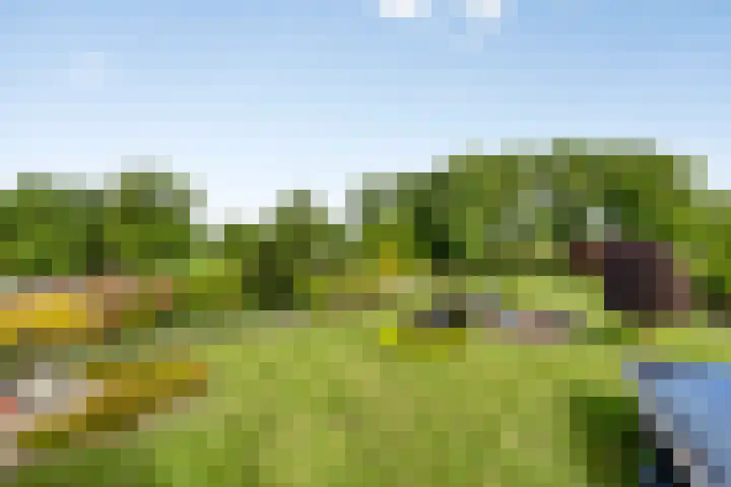 Koenraadtweg 14 Maarheeze thumbnail 48