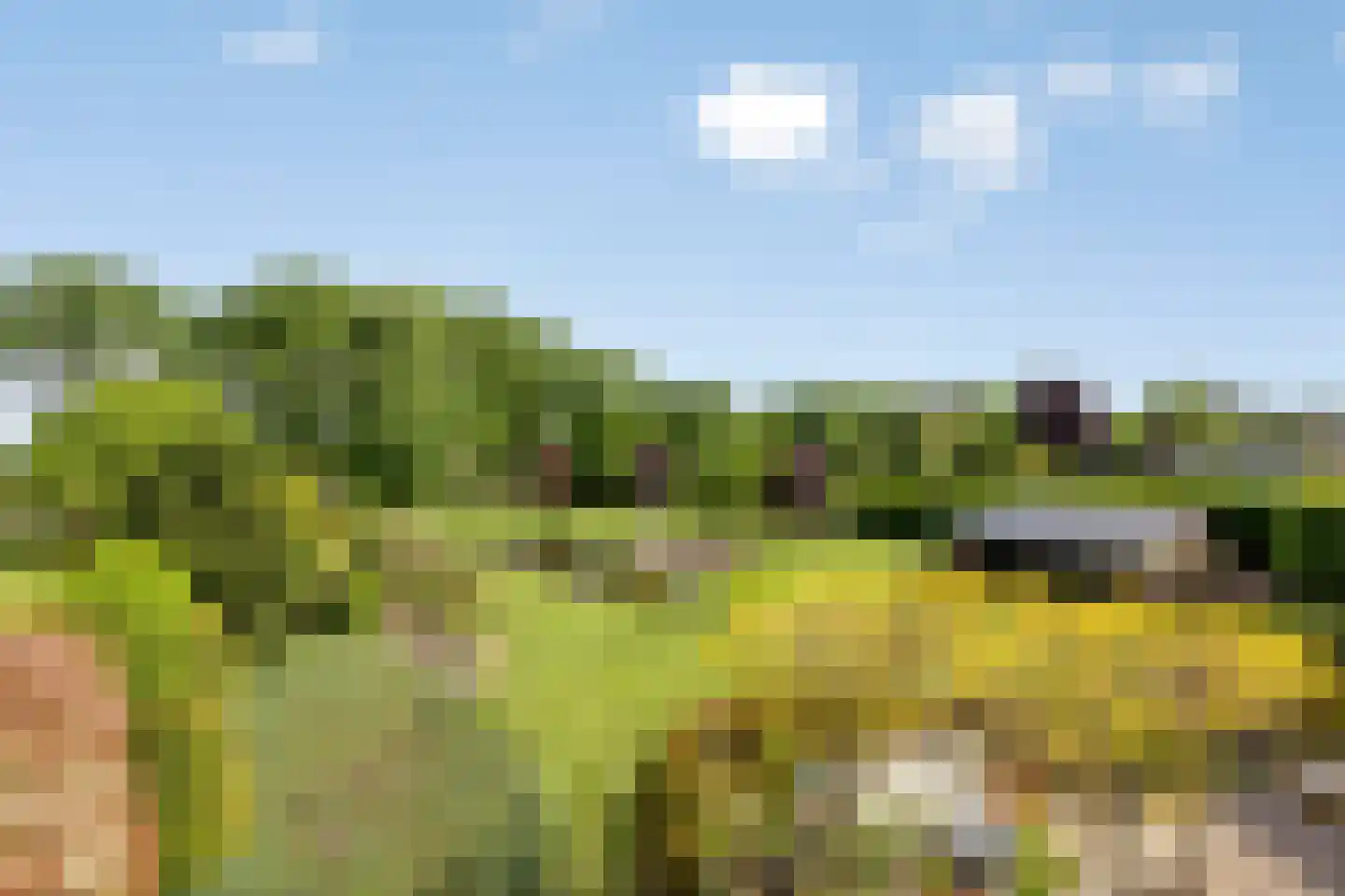 Koenraadtweg 14 Maarheeze thumbnail 49