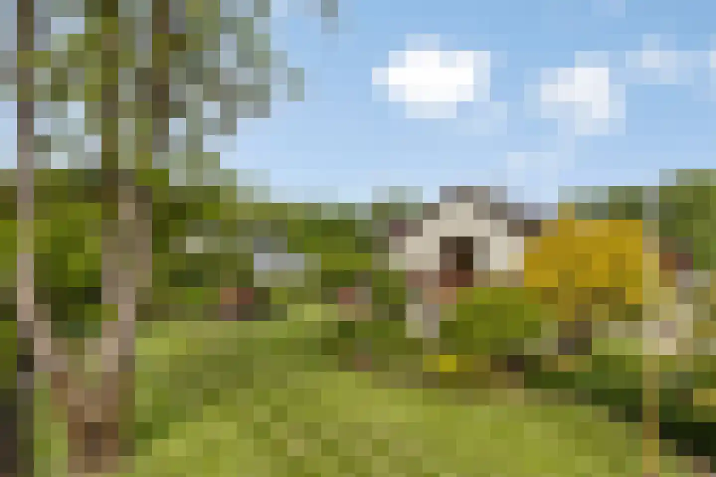 Koenraadtweg 14 Maarheeze thumbnail 5